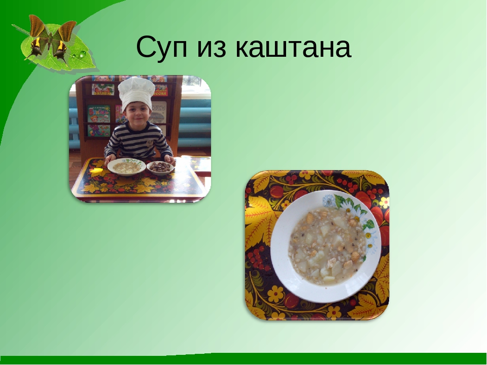 Проект "Гордый красавец каштан"