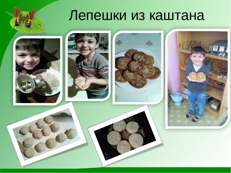 Проект "Гордый красавец каштан"