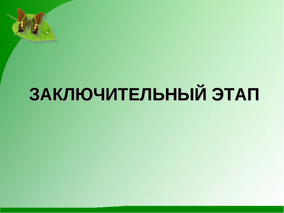 Проект "Гордый красавец каштан"