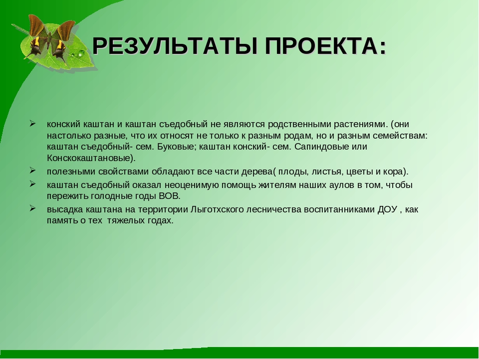 Проект "Гордый красавец каштан"