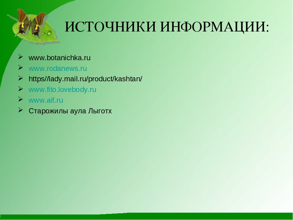 Проект "Гордый красавец каштан"