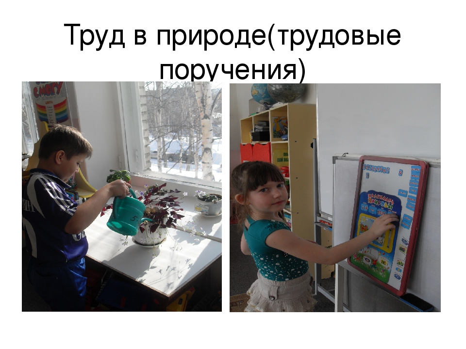 Презентация для педагогов ДОУ на тему "Трудовое воспитание детей логопедической группы"