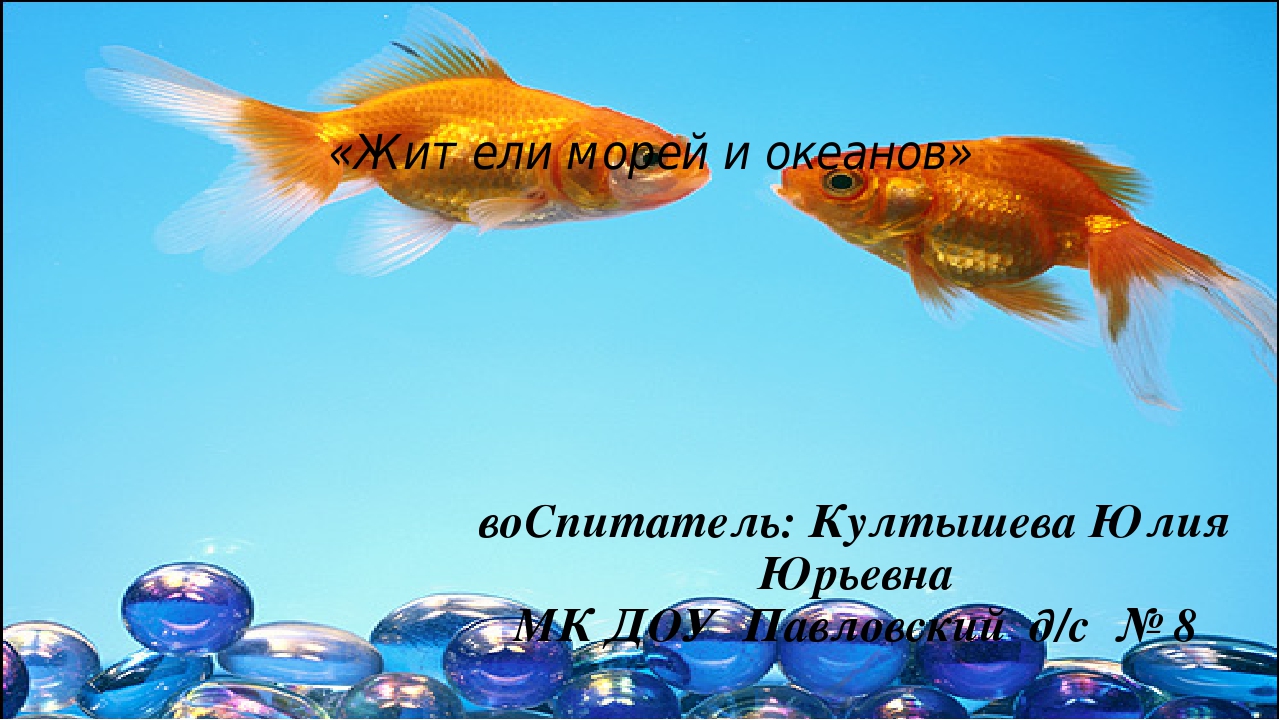 Презентация для дошкольников "Жители морей и океанов"