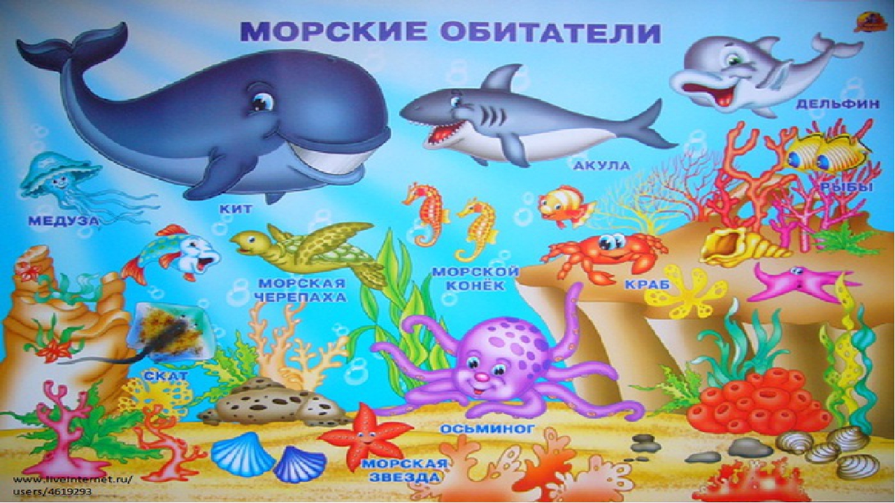 Презентация для дошкольников "Жители морей и океанов"