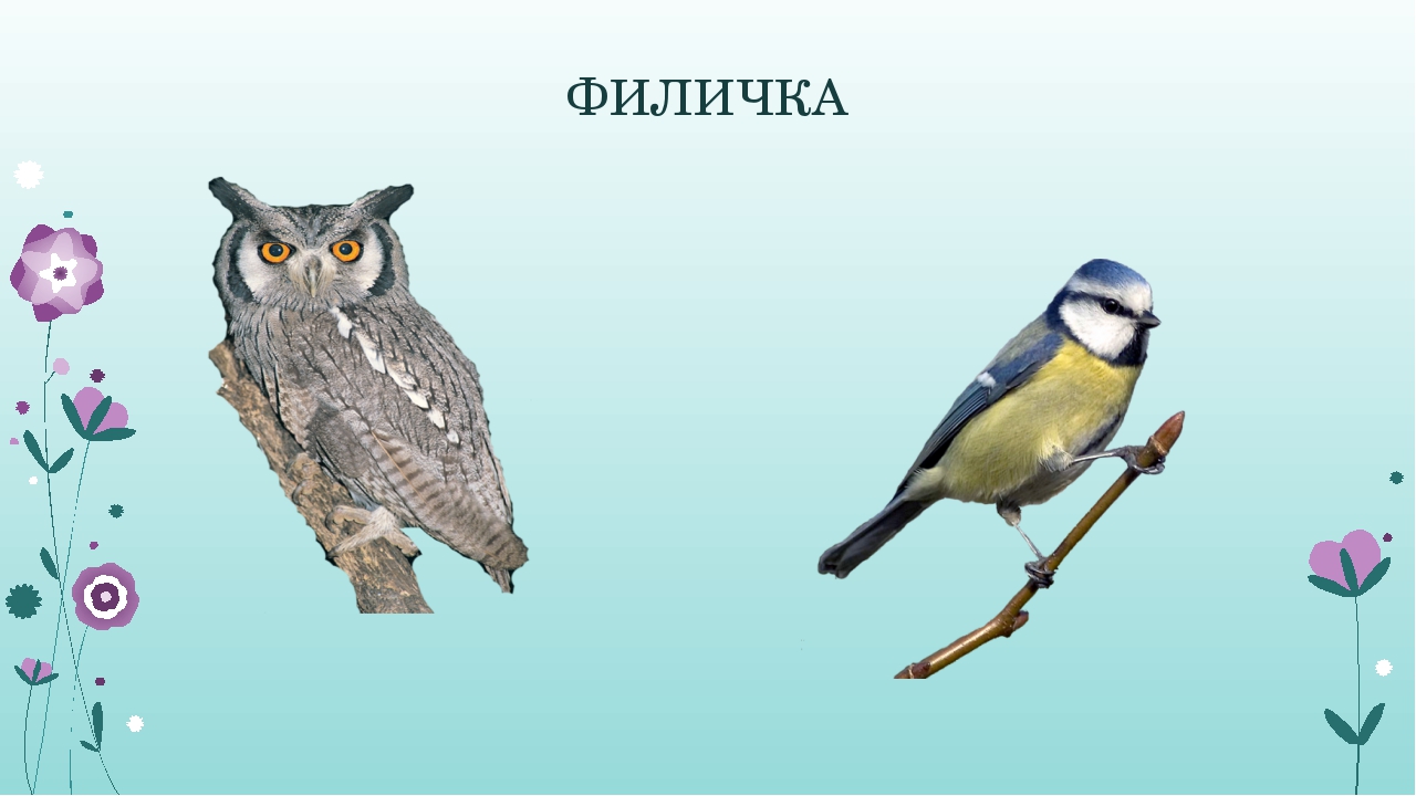 Интерактивная дидактическая игра "Какие животные и птицы спрятались в словах?"
