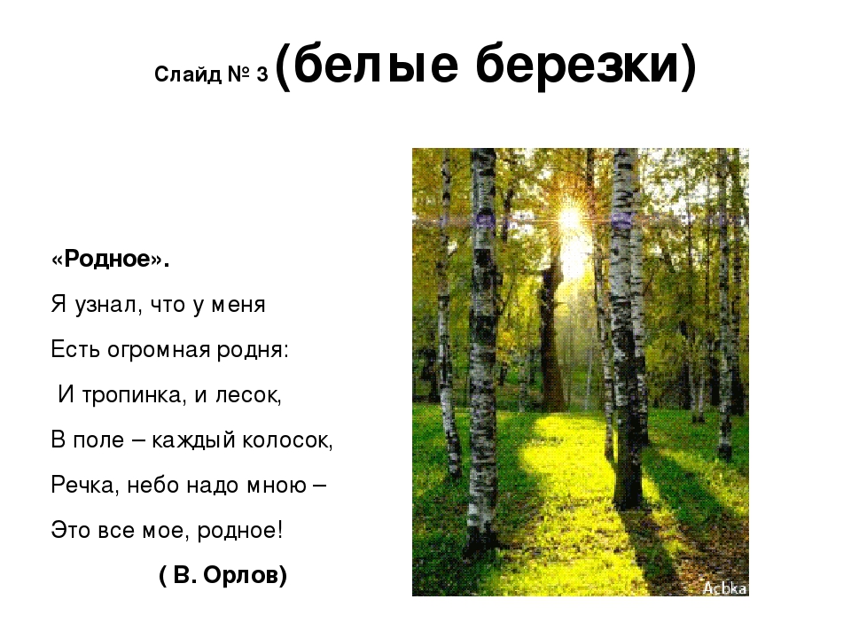 Это все мое родное. Орлов родное. Стих я узнал что у меня. Стих родное Орлов. Владимир Орлов родное стихотворение.