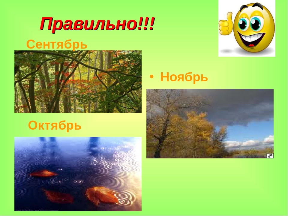 Презентация для детей старшего дошкольного возраста на тему "Музыкальное путешествие со Смайликом по временам года: Осень"