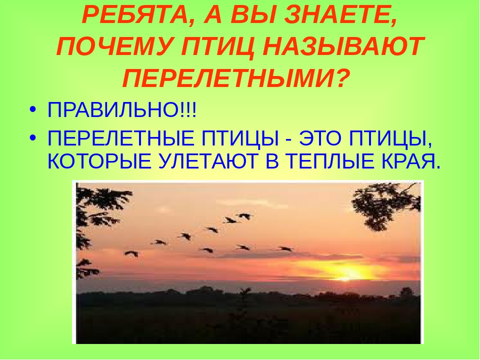 Презентация для детей старшего дошкольного возраста на тему "Музыкальное путешествие со Смайликом по временам года: Осень"