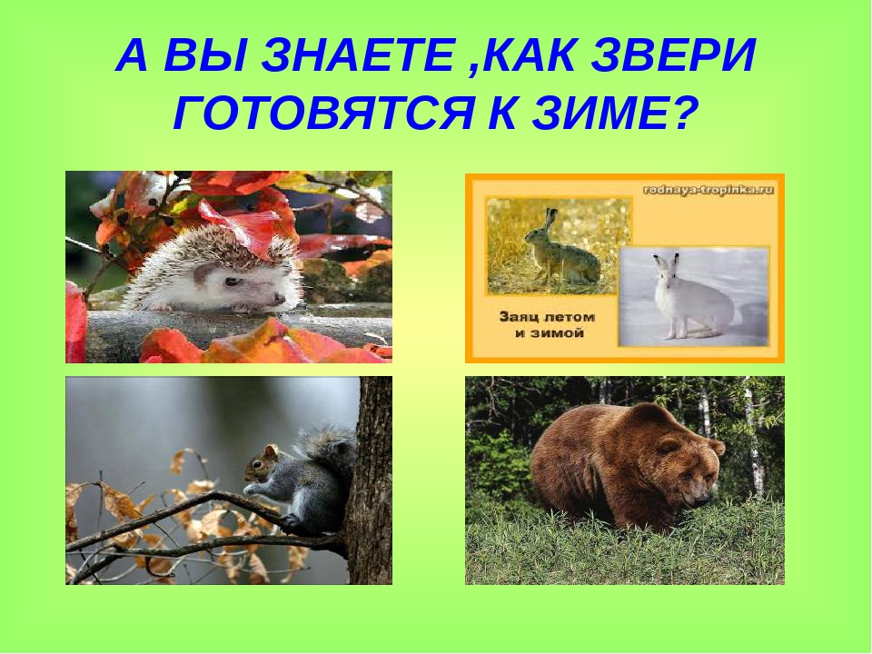 Презентация для детей старшего дошкольного возраста на тему "Музыкальное путешествие со Смайликом по временам года: Осень"