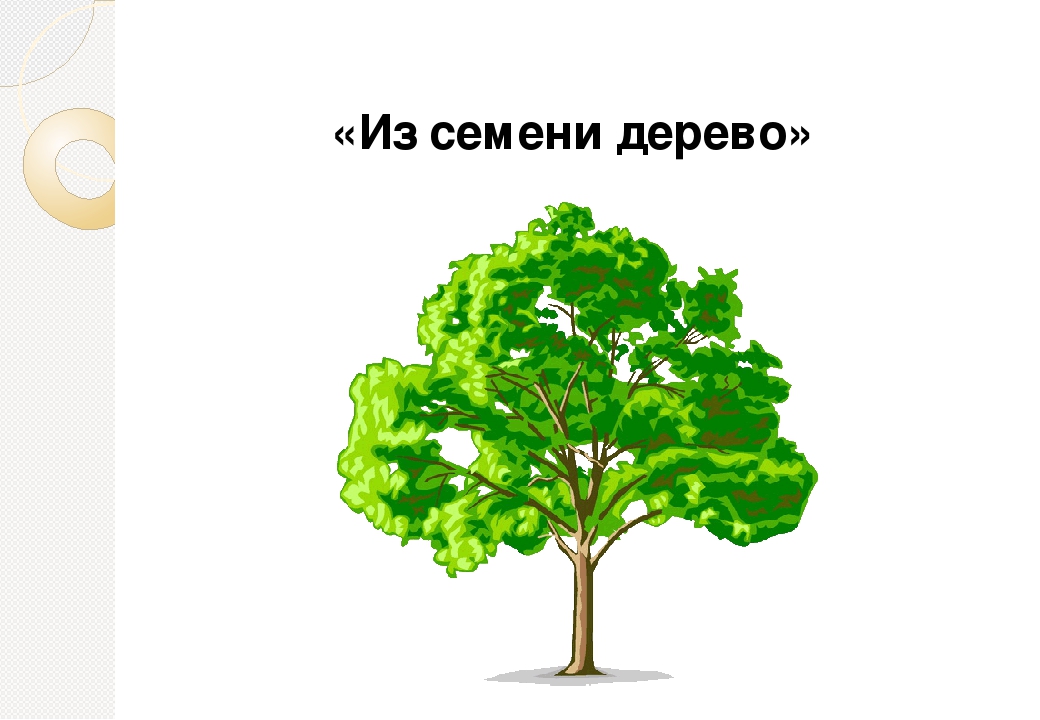 Сценарий праздника "Моя семья - мое богадство"