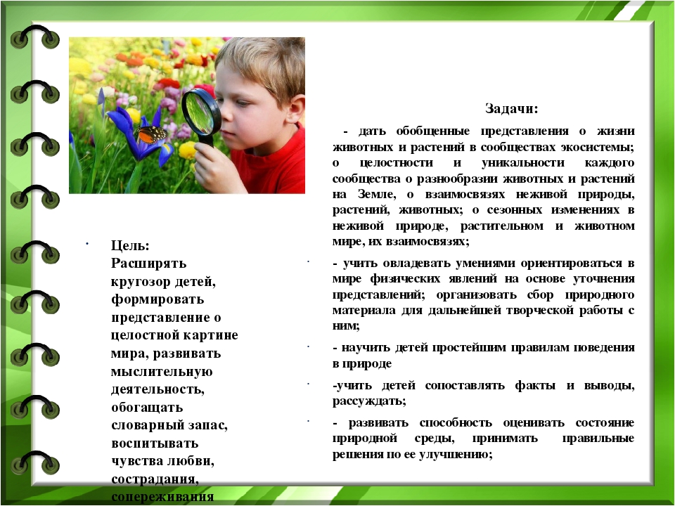 Презентация реализации авторской программы кружка «Почемучки»
