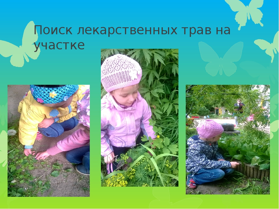 Презентация проекта по экологии