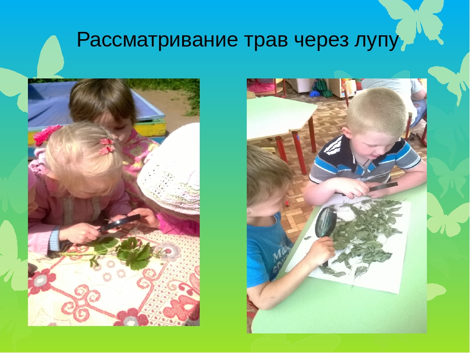 Презентация проекта по экологии
