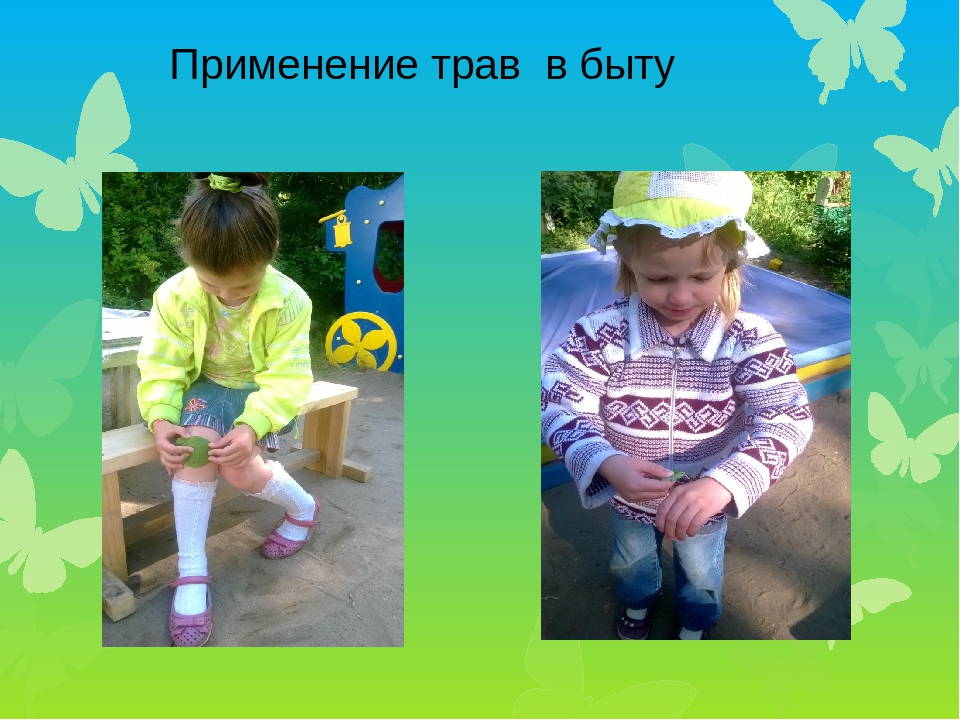 Презентация проекта по экологии