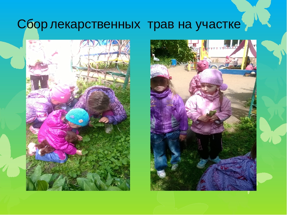 Презентация проекта по экологии