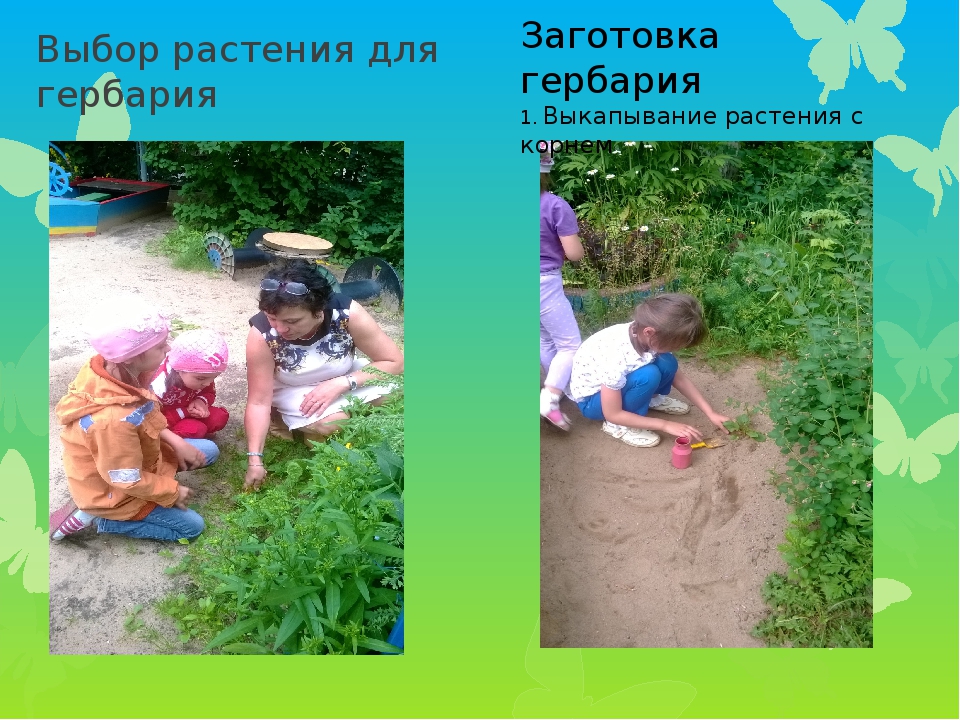Презентация проекта по экологии