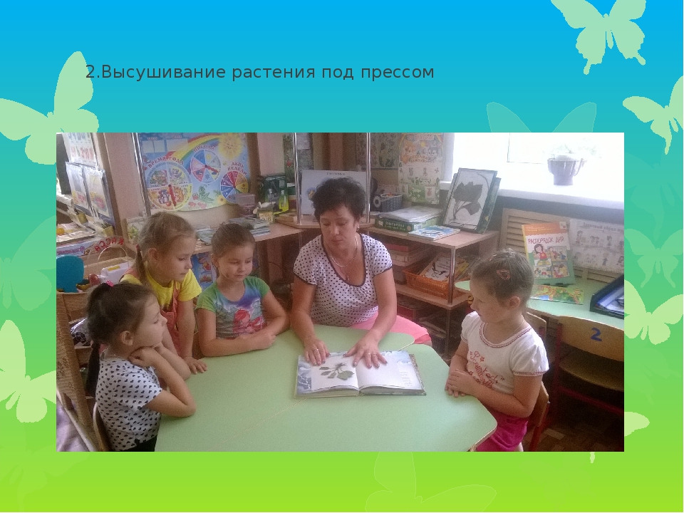 Презентация проекта по экологии