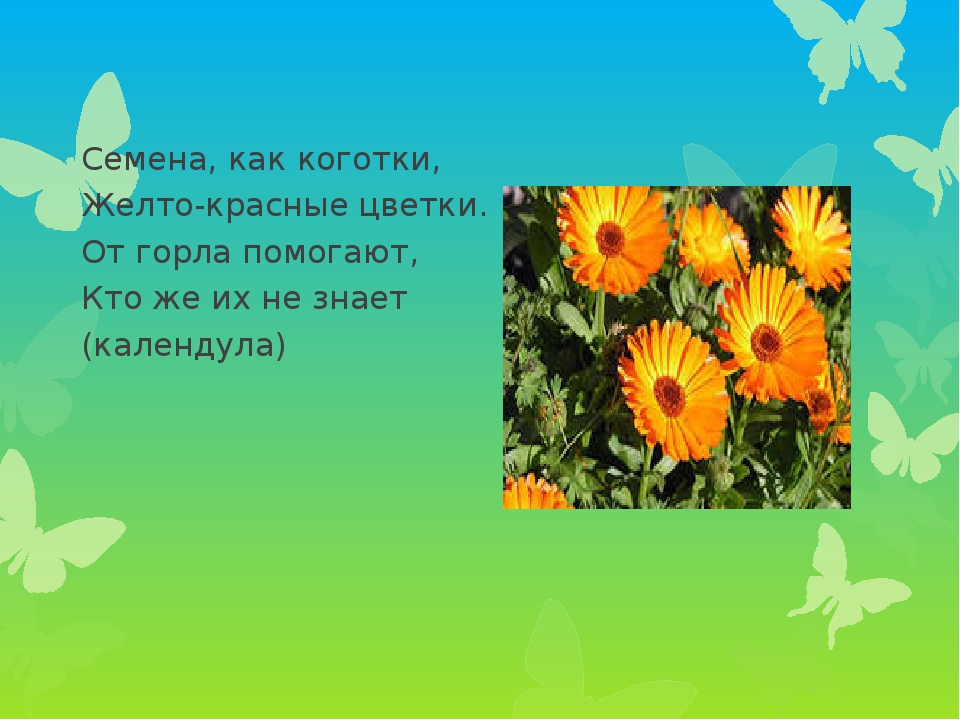Презентация проекта по экологии