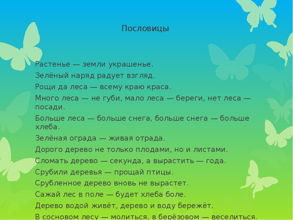 Презентация проекта по экологии