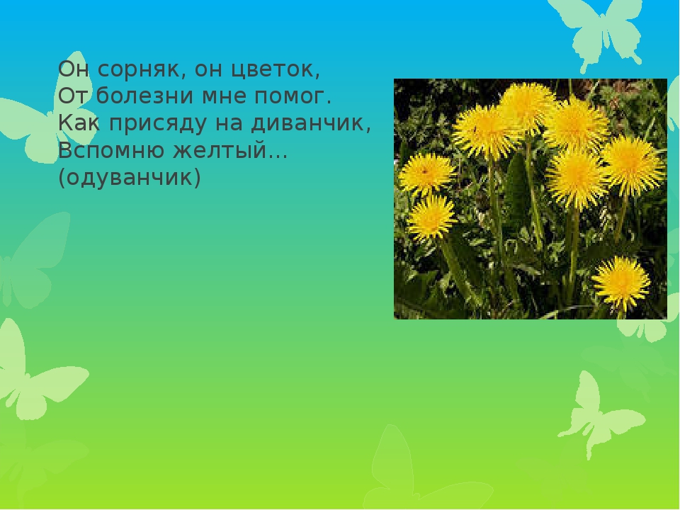 Презентация проекта по экологии
