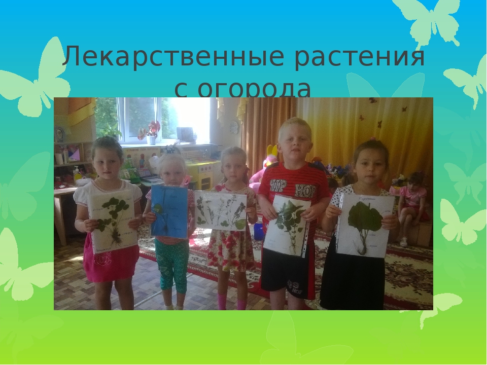 Презентация проекта по экологии