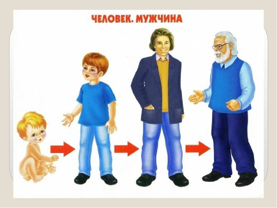 Презентация по ознакомлению с окружающим миром на тему: "Как растет живое?".