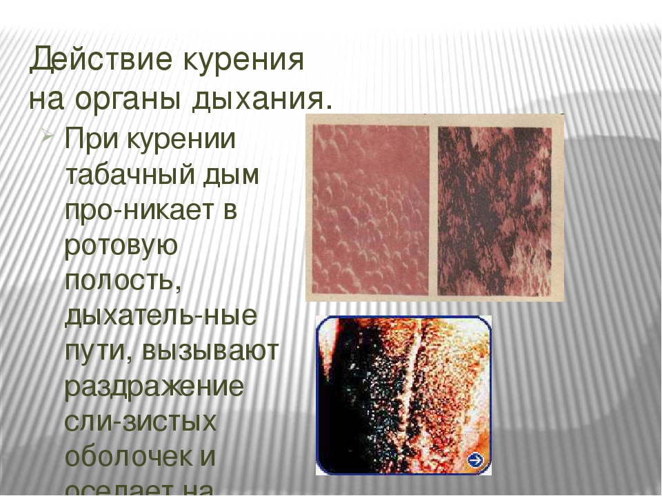 Тема проекта: "Здоровым быть модно"