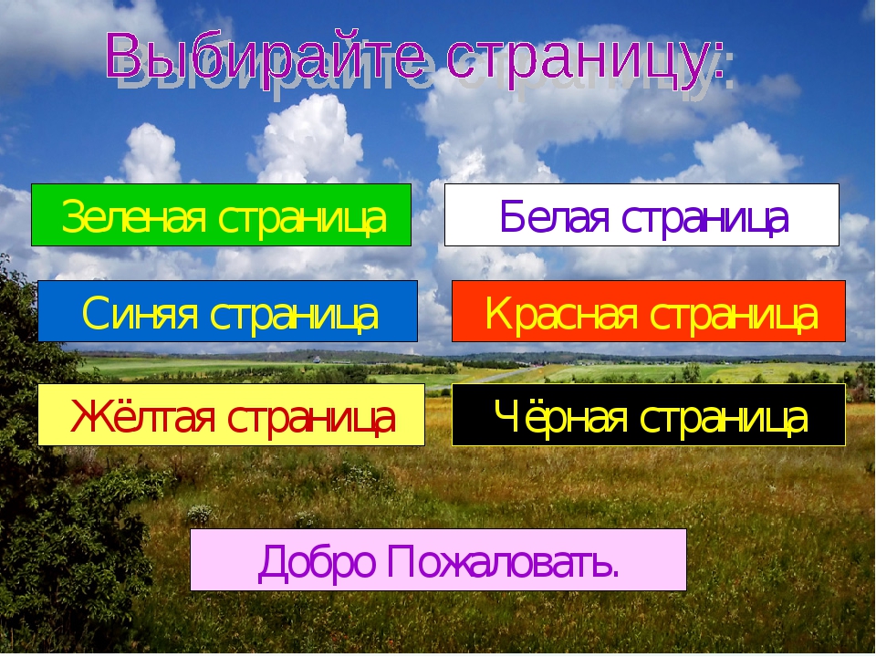 Цветная книга Саратовской области