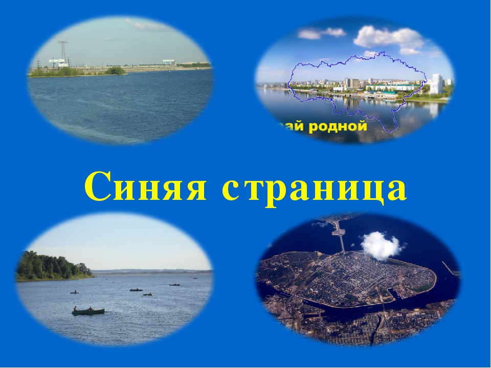 Цветная книга Саратовской области