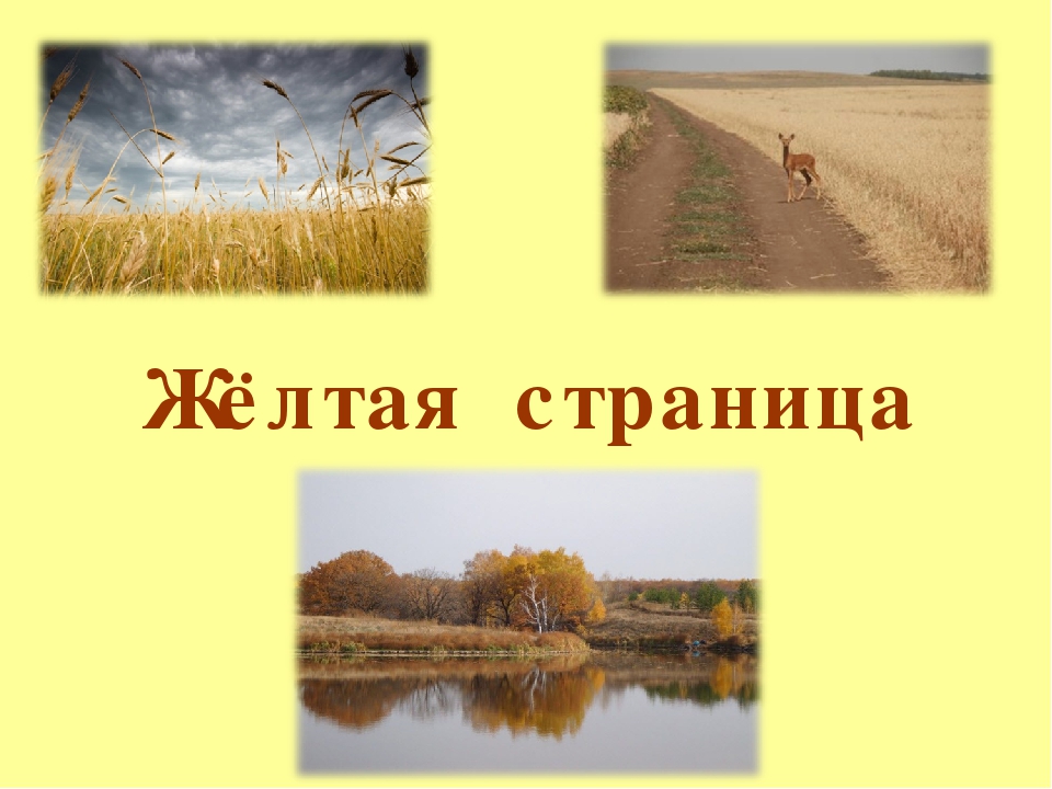 Цветная книга Саратовской области