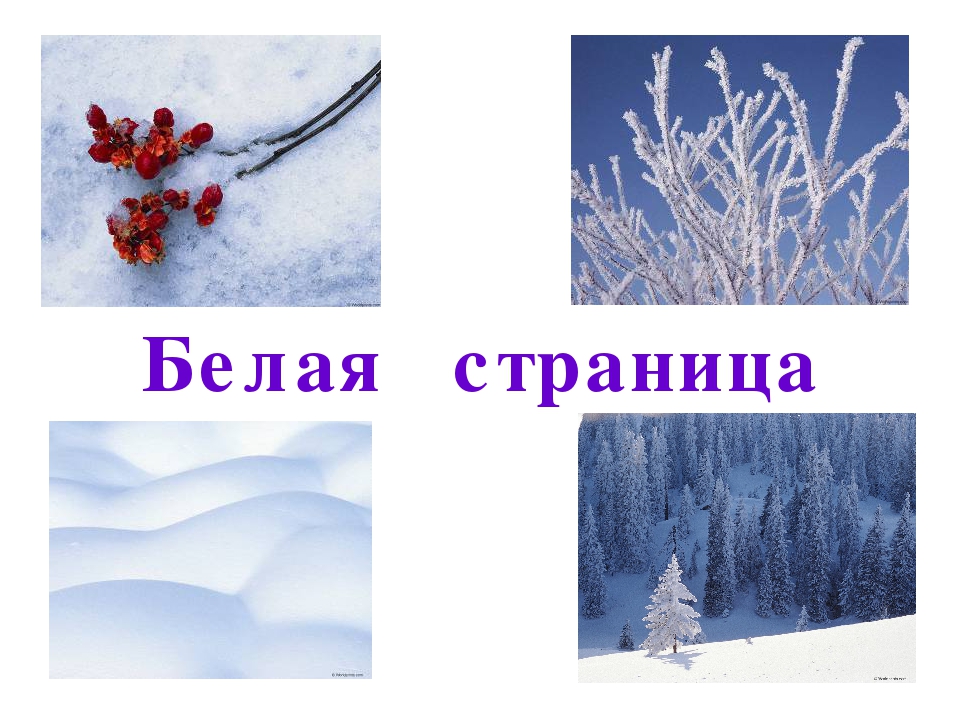 Цветная книга Саратовской области