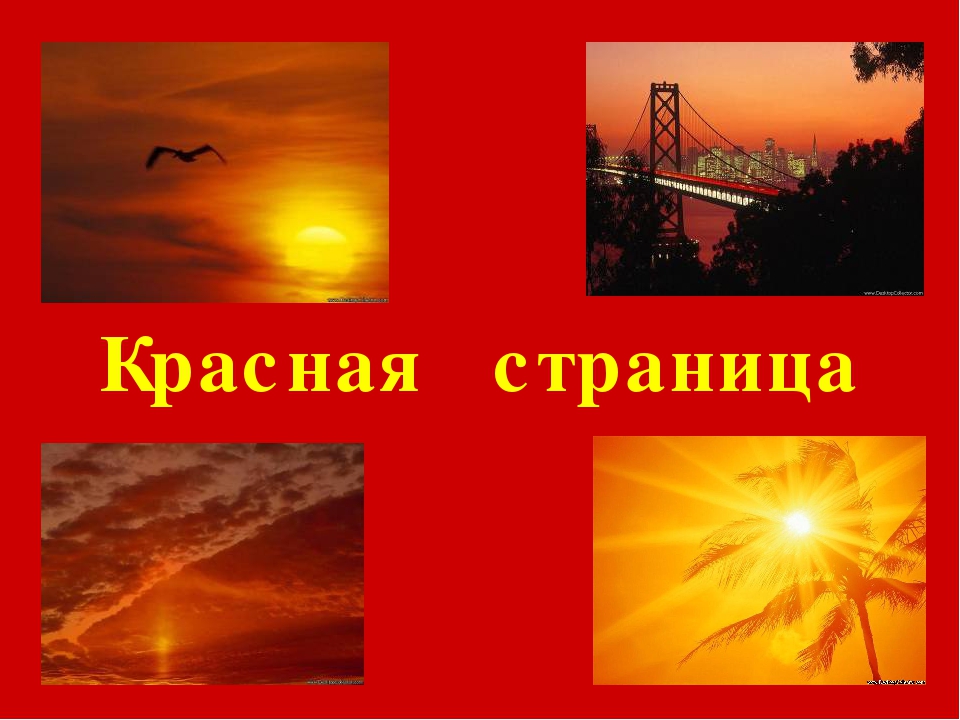 Цветная книга Саратовской области