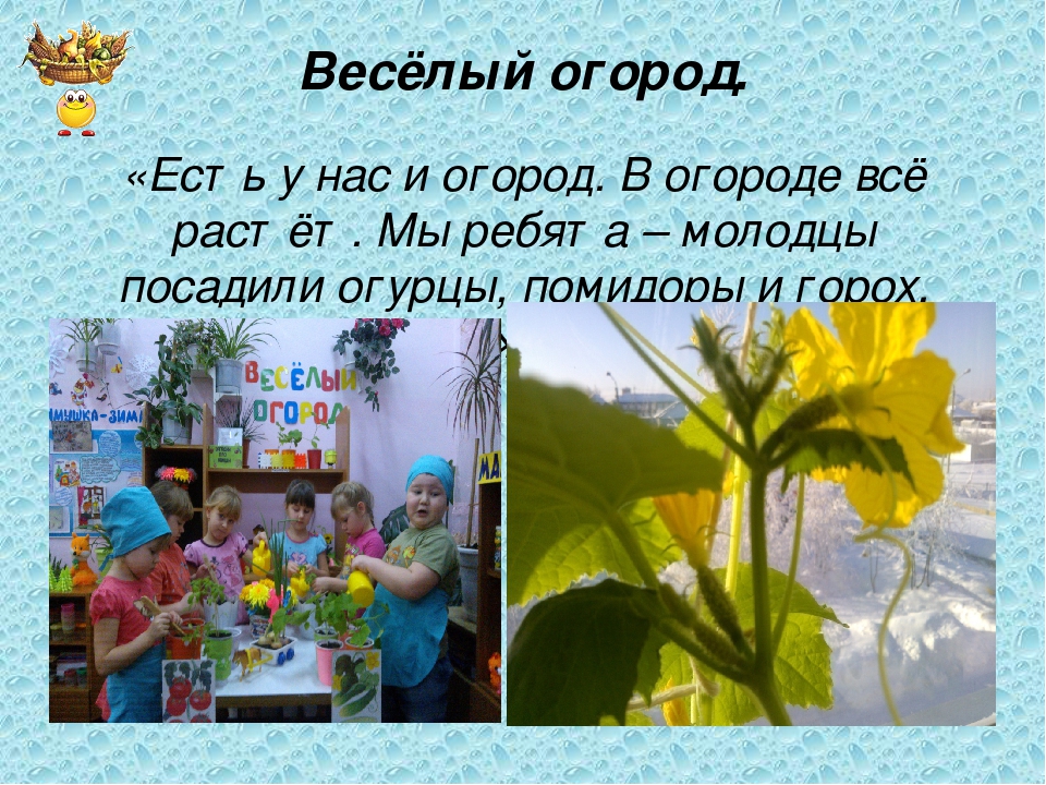 Презентация "РППС в группе"