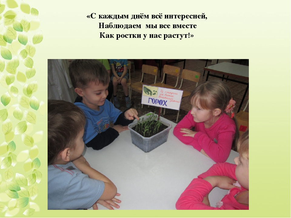 Презентация проекта "Веселый огород"