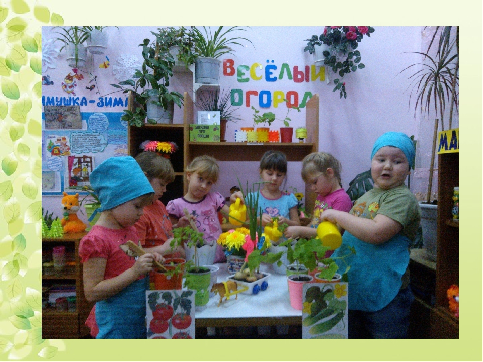 Презентация проекта "Веселый огород"