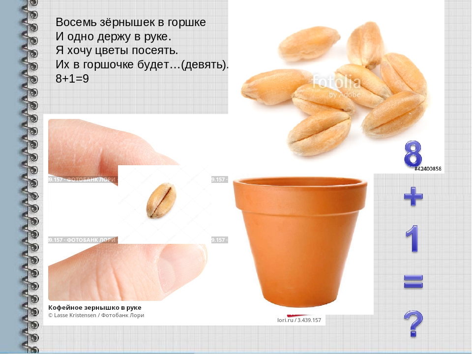 Презентация для детей старшего дошкольного возраста по ФЭМП на тему "Щенок и простые задачки" на сложение.