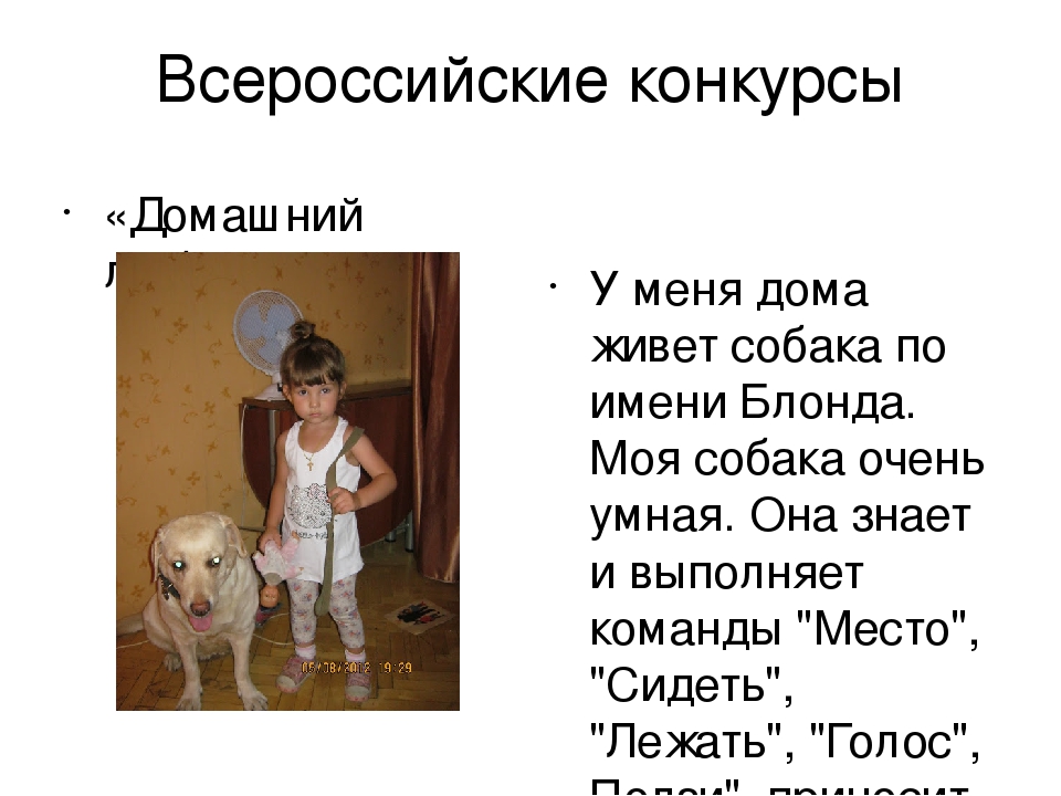Презентация "Взаимодействие с родителями по экологическому воспитанию, через художественно – эстетическое развитие."