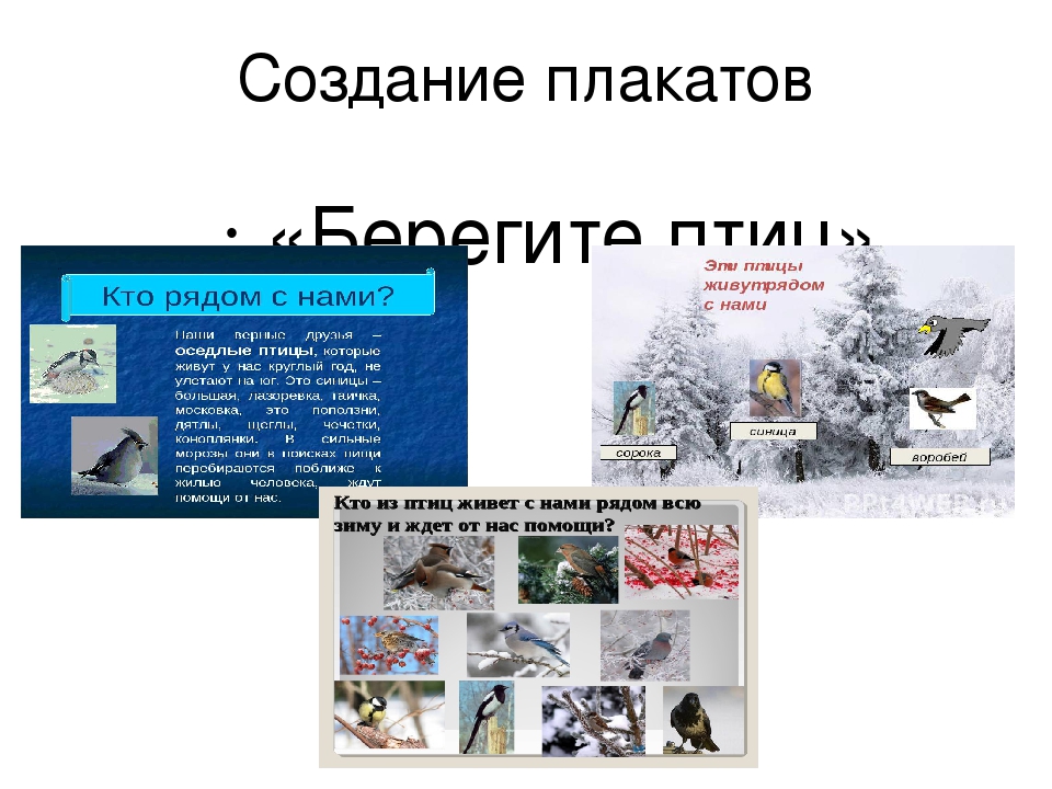 Презентация "Взаимодействие с родителями по экологическому воспитанию, через художественно – эстетическое развитие."