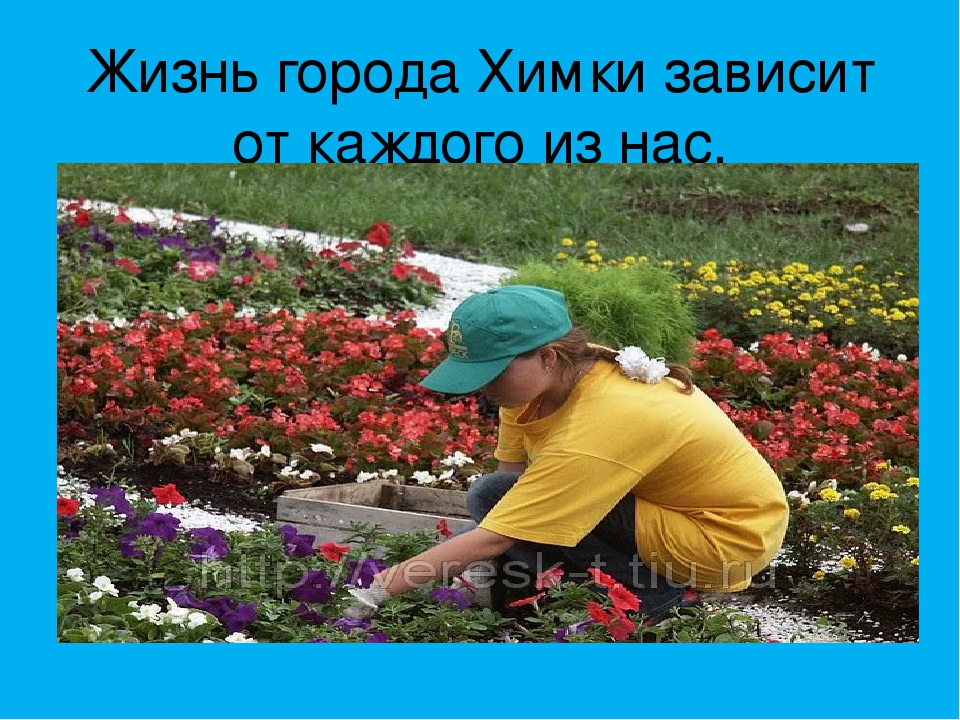 Презентация " Мой город Химки"
