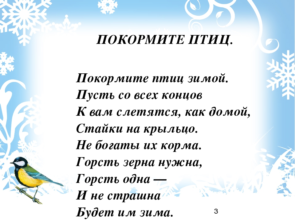 Проект "Зимующие птицы" старшая группа
