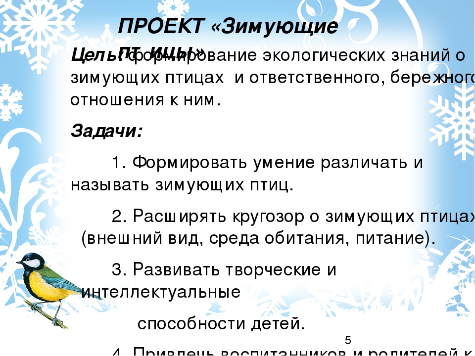 Проект "Зимующие птицы" старшая группа