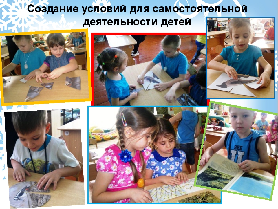 Проект "Зимующие птицы" старшая группа