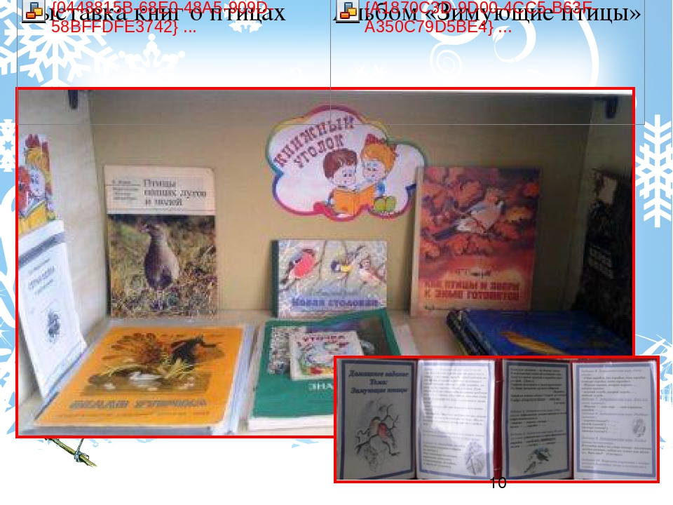 Проект "Зимующие птицы" старшая группа