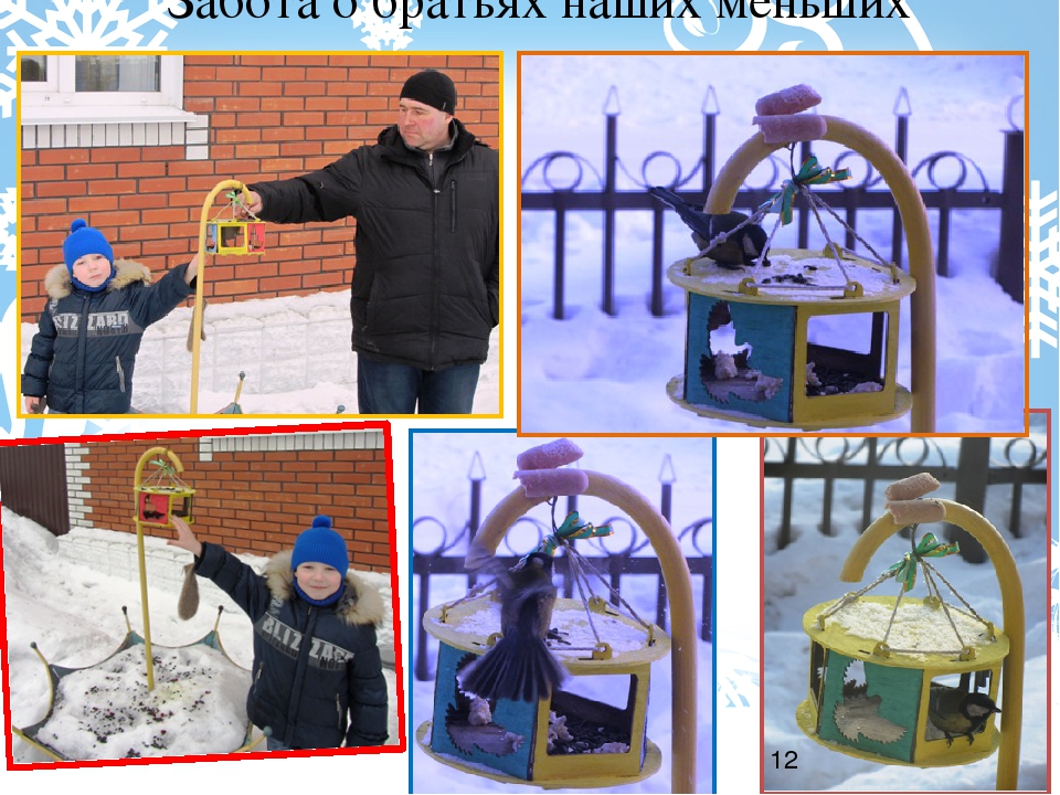Проект "Зимующие птицы" старшая группа