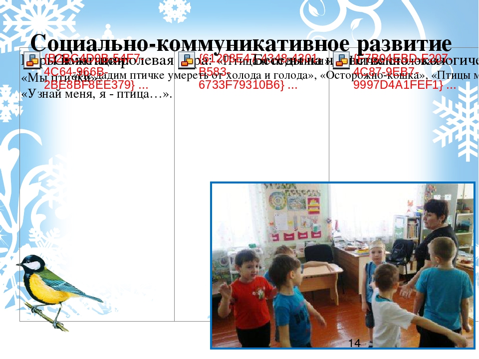 Проект "Зимующие птицы" старшая группа