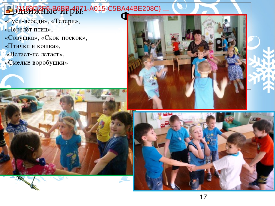 Проект "Зимующие птицы" старшая группа