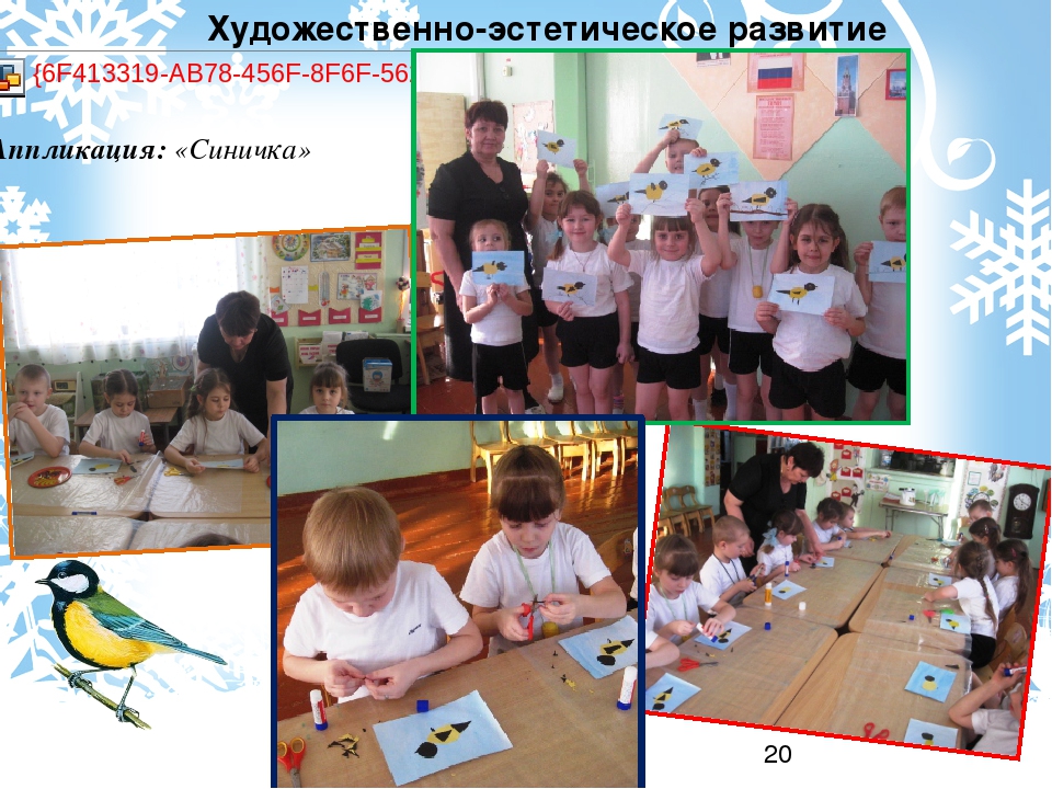 Проект "Зимующие птицы" старшая группа