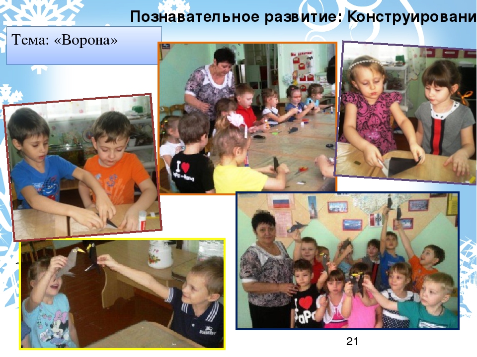 Проект "Зимующие птицы" старшая группа