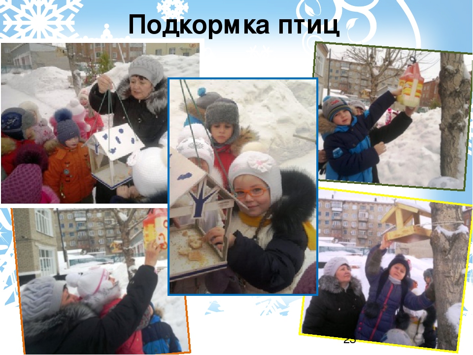Проект "Зимующие птицы" старшая группа