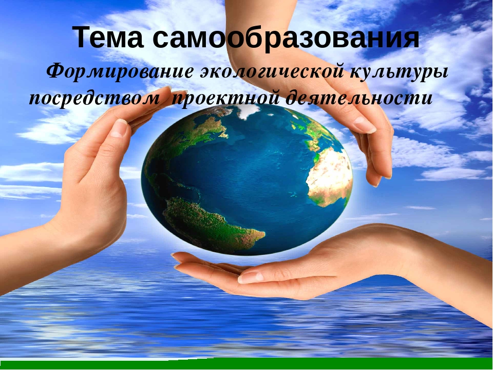 Самоанализ "Формирование экологической культуры посредством проектной деятельности"